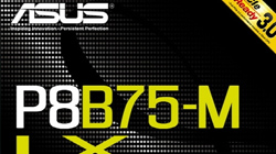 STCOM,3 ý ȣ! ASUS P8B75-M LX  