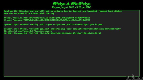 Ʈ(Petya)  Ŀ  ȣȭ Ű 밡 100 Ʈ...