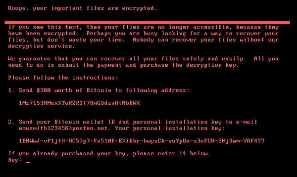  Petya    Ÿ 