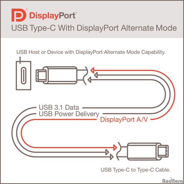 ÷Ʈ Ŀ, USB Type-C ͳƮ 忡 ...
